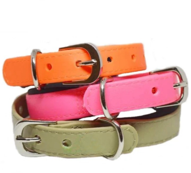 Small collars for Dog and Puppies - Mini Pets World